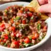 Bowl of fresh homemade salsa made with tomatoes, onions, and cilantro