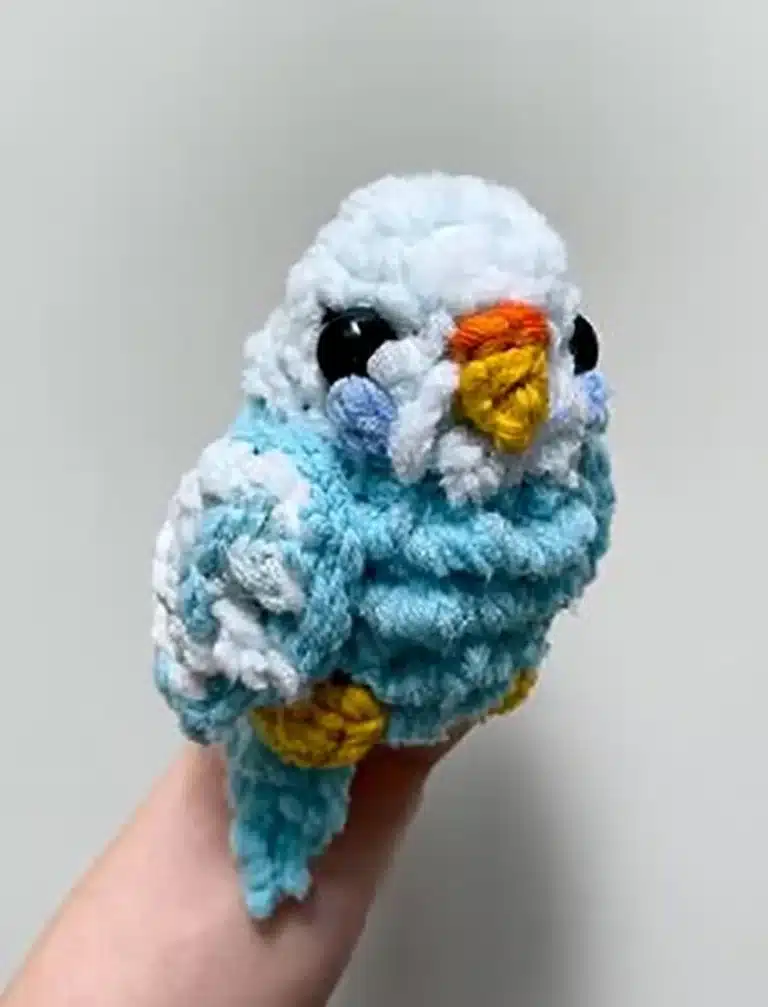 An adorable Pocket Parrot perched on a finger, showcasing its vibrant feathers and friendly nature.