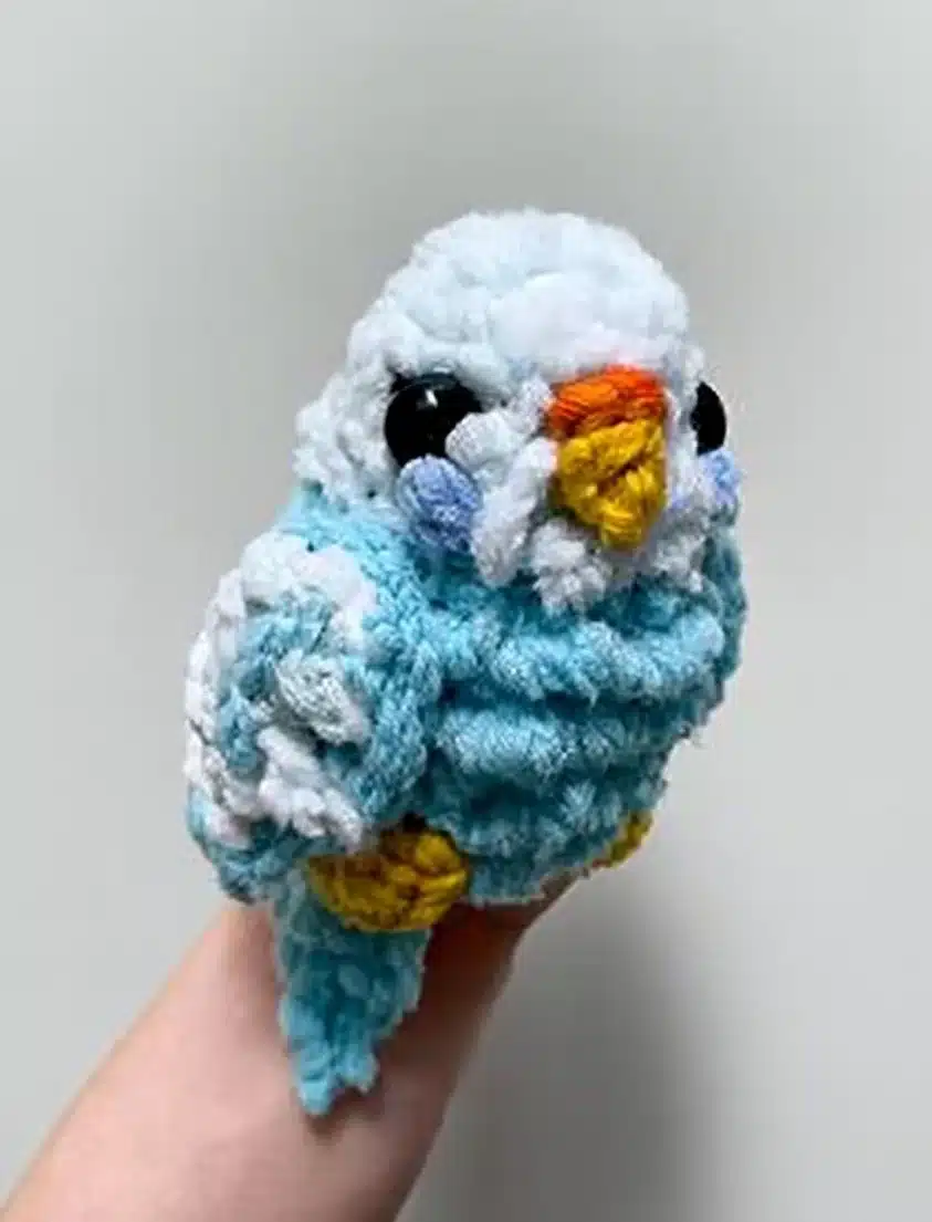 An adorable Pocket Parrot perched on a finger, showcasing its vibrant feathers and friendly nature.