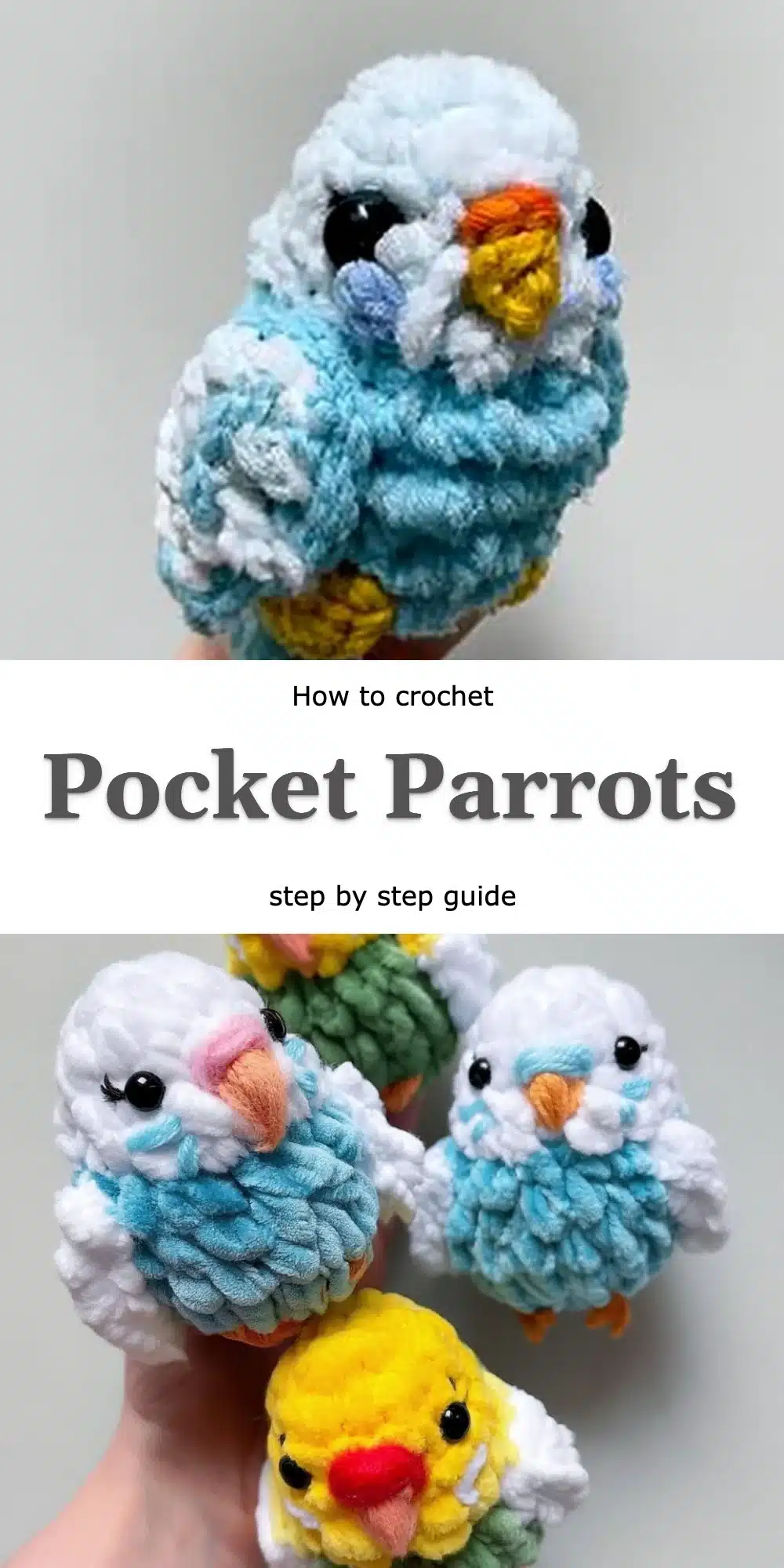 Pocket Parrots